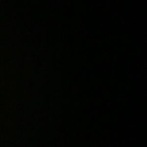 Meet your Posher, Darian